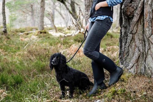 Dog Walking Boots
