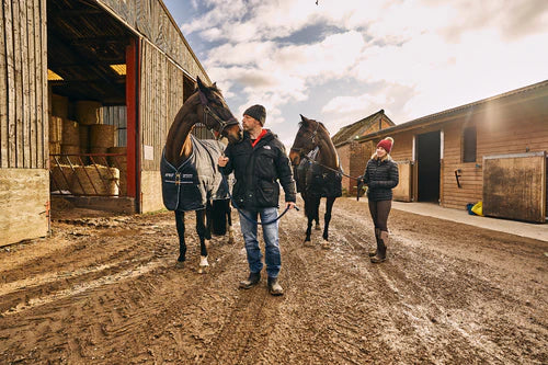 Horse & Stable Boots